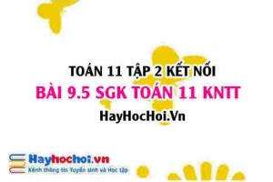 Bài 9.5 SGK Toán 11 Tập 2 Kết nối tri thức: Thiết kế đường ray tàu lượn bằng Parabol